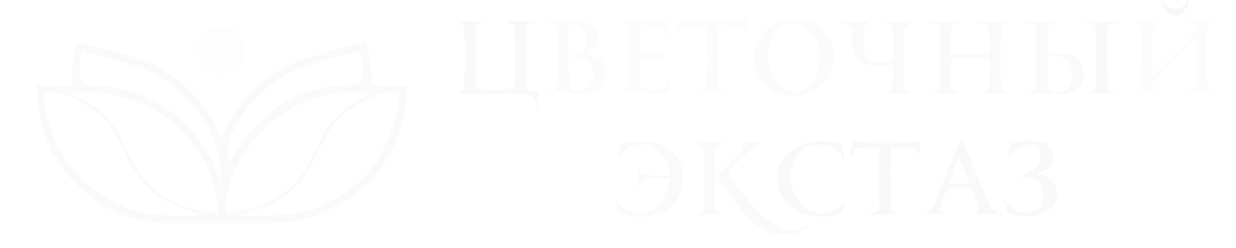 "Цветочный Экстаз"