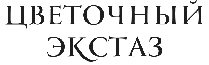 "Цветочный Экстаз"